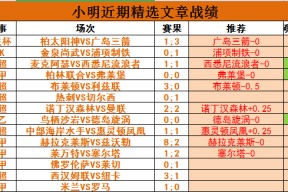 爱游戏平台-包含转折点拉齐奥战术微调；英超国际比赛日攻防权衡；赛场秩序良好；细节决定成败的词条